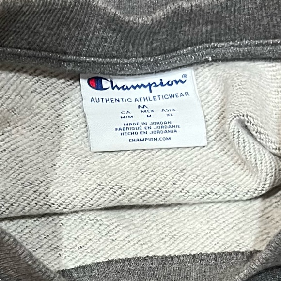 Champion Sweatshirt with unique design - Picture 4 of 6